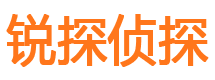 汉滨调查公司